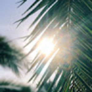 Meet your Posher, Vada